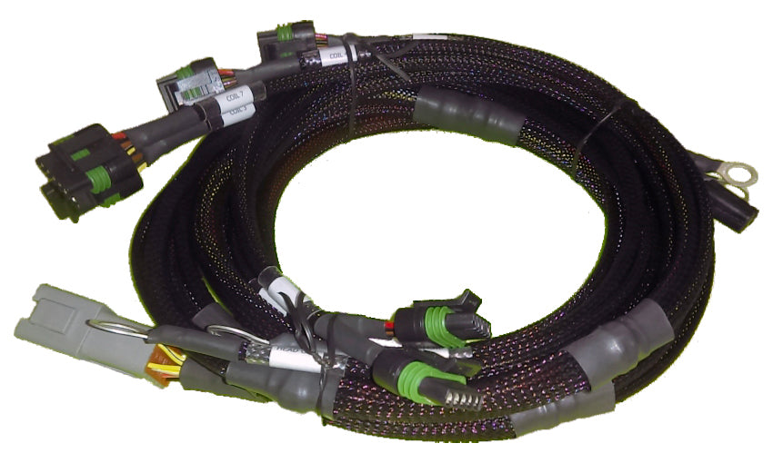 Haltech - V8 Ford Small/Big Block 8 x Individual High Output IGN-1A Inductive Coil Harness HT-130311