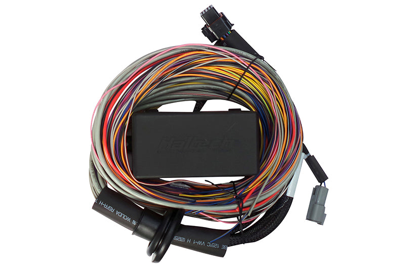 Haltech - Elite 750 Premium Universal Wire-in Harness  HT-140604