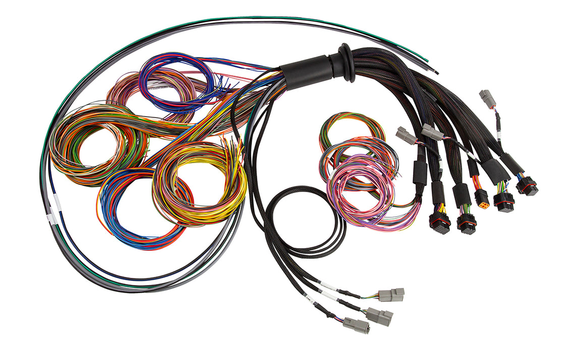 Haltech - NEXUS R5 Basic Universal Wire-In harness  HT-185200